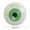 Green, variant on Halloween Inflatable Bloodshot Eyeball Decoration, 15.7 Inch Large Realistic Spooky Eye Prop for Yard Garden Party Scene