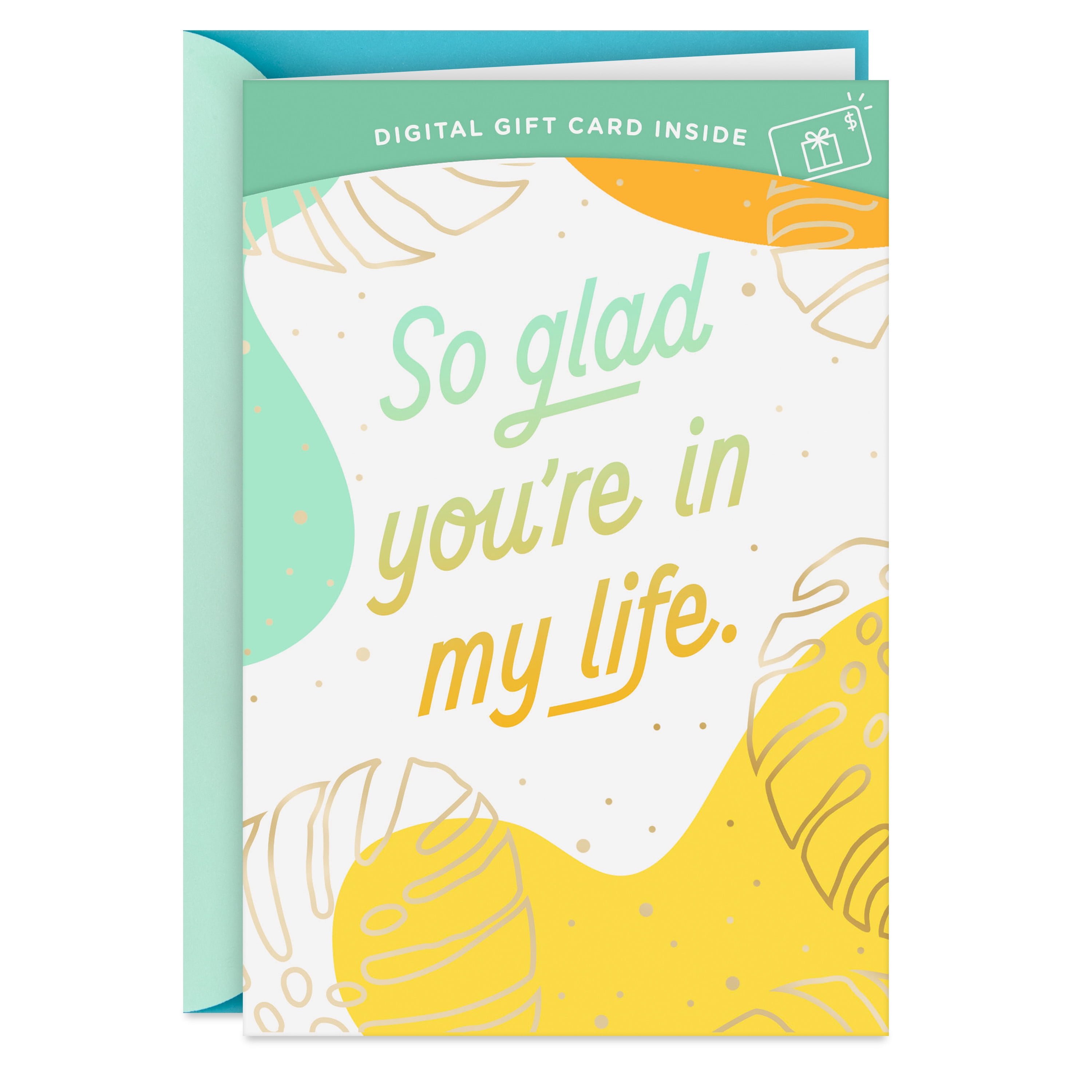 Hallmark Gift Card Greeting Card for Birthday, Congratulations, Friendship (So Glad You're in My Life)