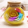 thumbnail image 4 of Botella de deseos Control remoto Flor rosa Luz de noche LED Bombilla romántica Lámpara de atenuación RGB Regalo de cumpleaños del día de San Valentín Methold JJ17958-04B, 4 of 6