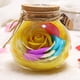 thumbnail image 4 of Botella de deseos Control remoto Flor rosa Luz de noche LED Bombilla romántica Lámpara de atenuación RGB Regalo de cumpleaños del día de San Valentín Advancent JJ17958-04B, 4 of 6