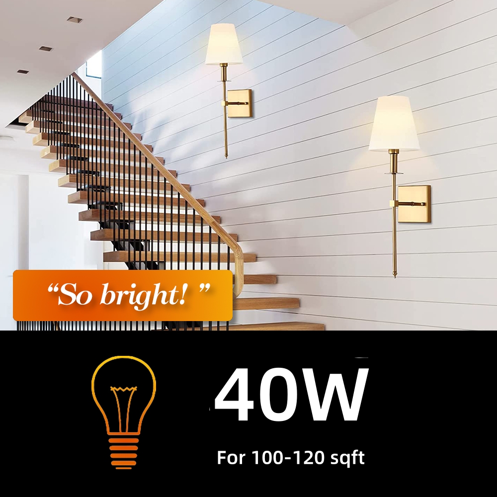 BLUEYE LED 6W (40W Equivalent) White Light Bulbs, Dimmable (2 Pack)