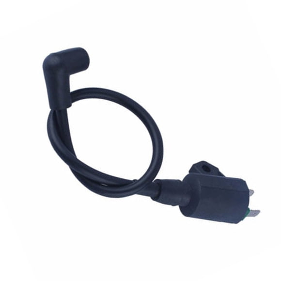 Ignition Coil Module For ET950 ET650 EF1000AX GAS Generator Motor Engine