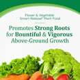 thumbnail image 3 of Osmocote Smart-Release Plant Food Flower & Vegetable 8 lb., 3 of 9