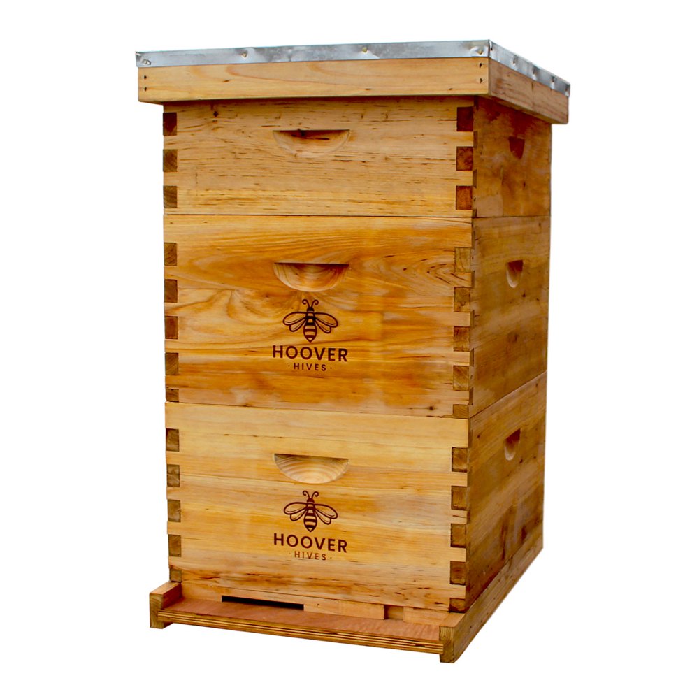 Hoover Hives Natural Bees Wax Coated 10 Frame Bee Hive Includes Frames and Foundations (2 Deep