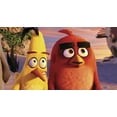 thumbnail image 3 of The Angry Birds Movie / The Angry Birds Movie 2 (DVD + ), 3 of 5