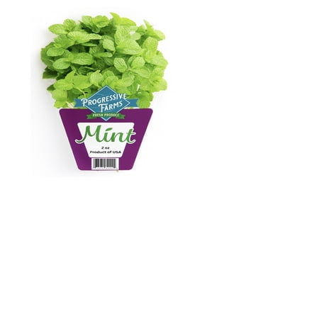 Fresh Produce, Green Fragrent Mint, 2oz Bag