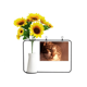 thumbnail image 1 of Animal sentimental Cat Simpol disparar Tarjeta de bendición de jarrón de girasol artificial, 1 of 3