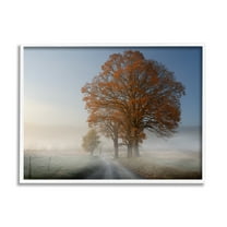 Stupell Foggy Road Sycamore Tree Landscape Photography White Framed Art Print Wall Art