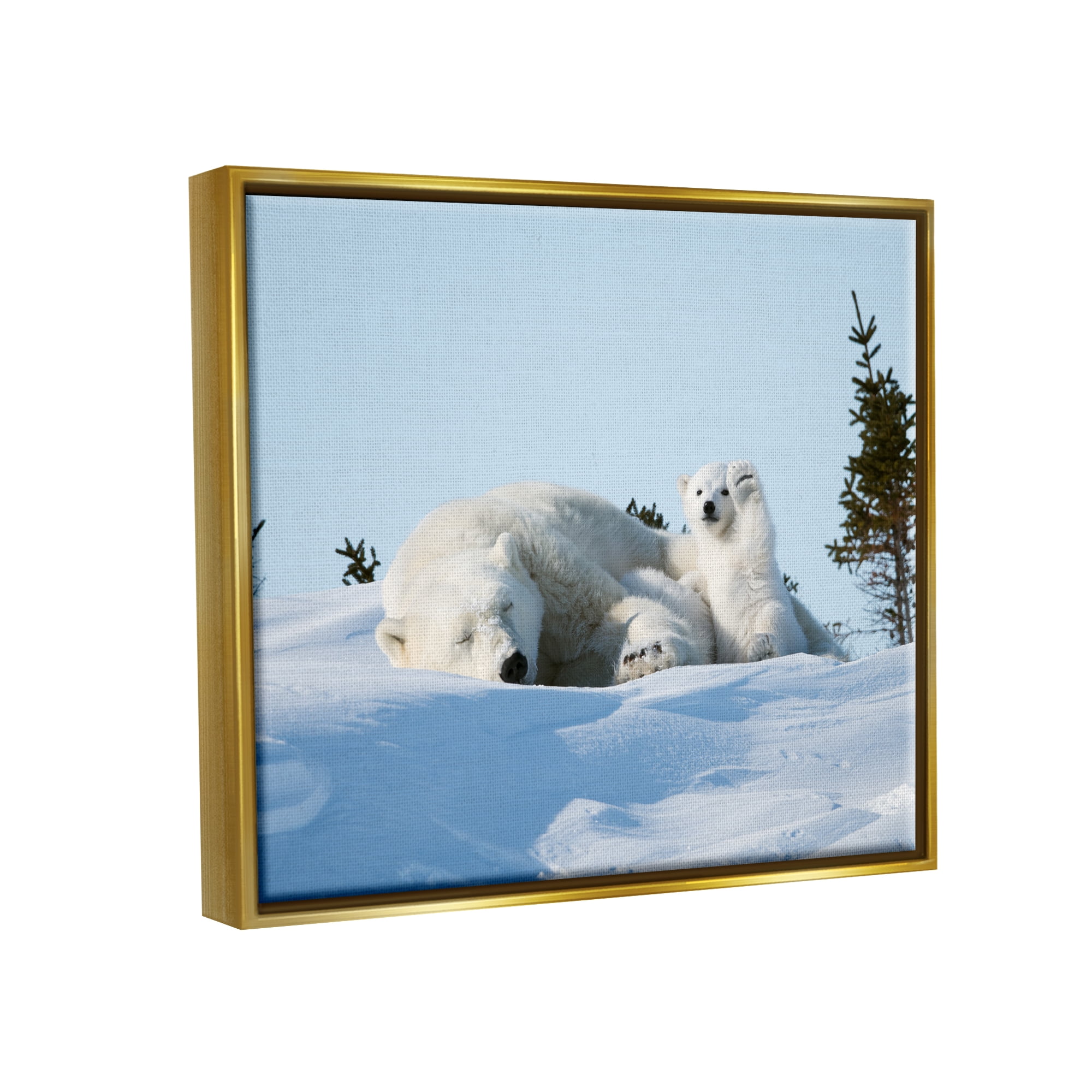 Stupell Industries Polar Bear Cub with Mom Animals & Insects Photography Gold Floater Framed Canvas Art Print Wall Art, 21 x 17