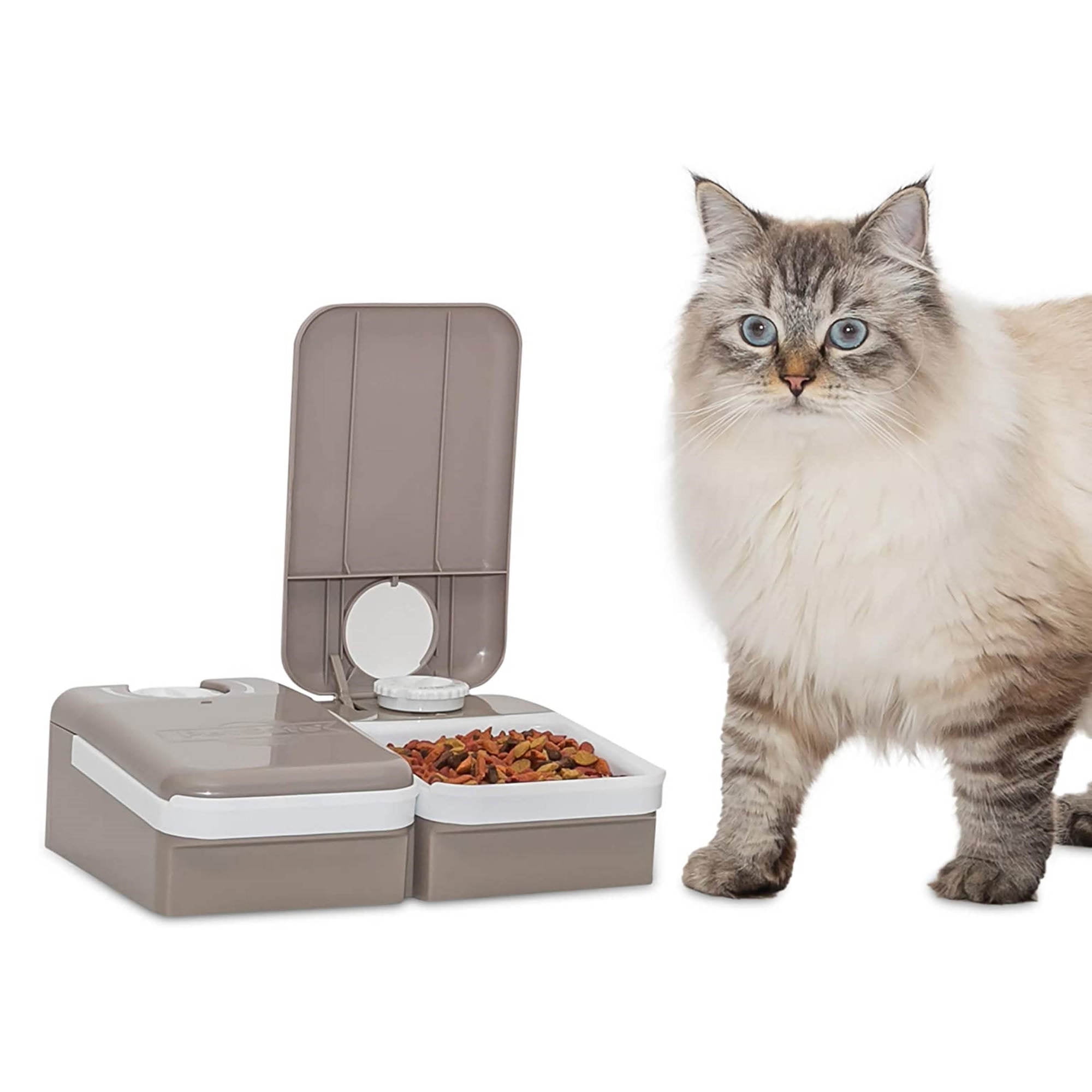 PetSafe Automatic 2 Meal Dog and Cat Feeder Cat and Dog Food