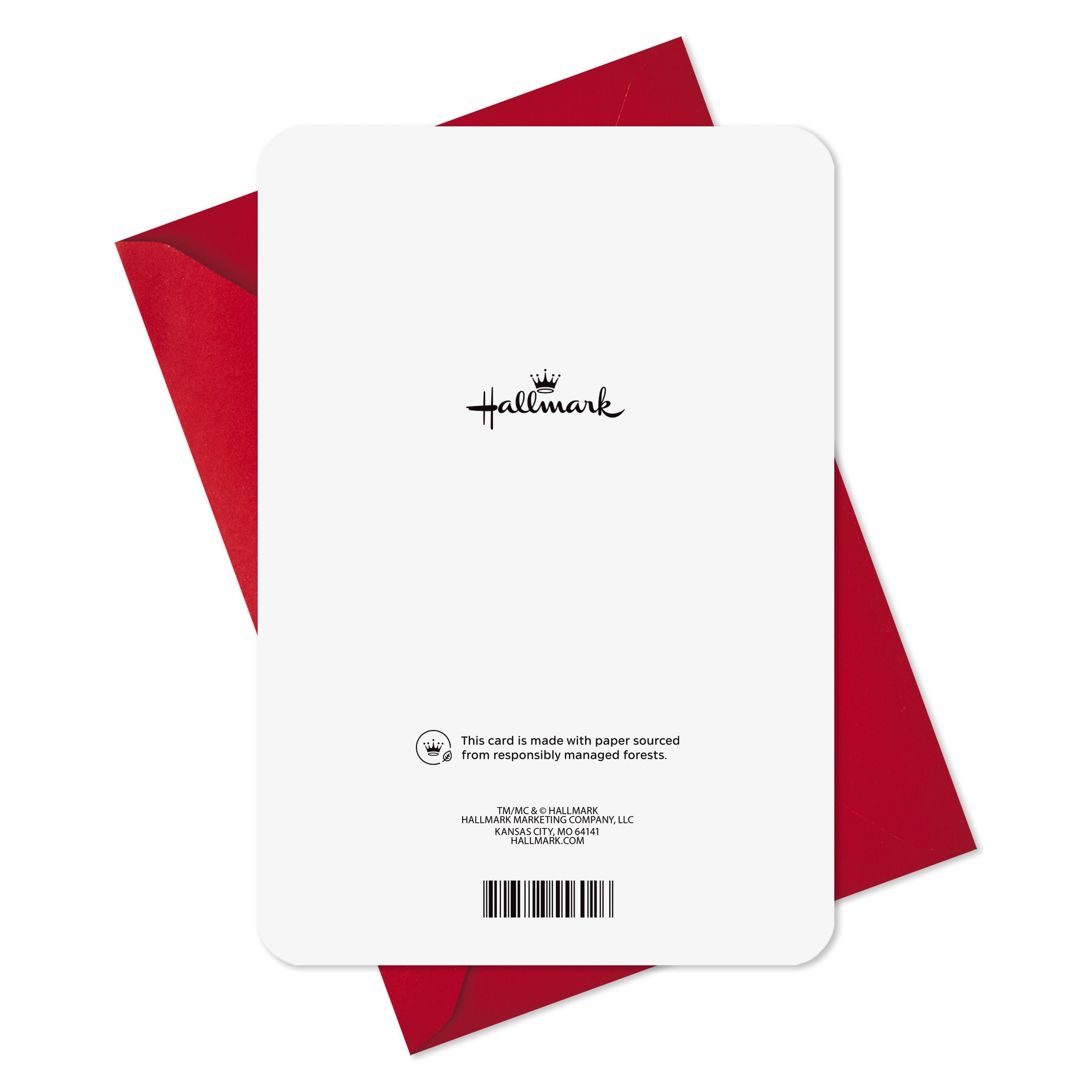 Hallmark Christmas Greeting Card (You're Ever So Nice Santa and Snow)