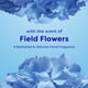 thumbnail image 3 of Suavizante de telas Suavitel Complete Field Flowers, 2,95 L, 100 cargas, 3 of 9