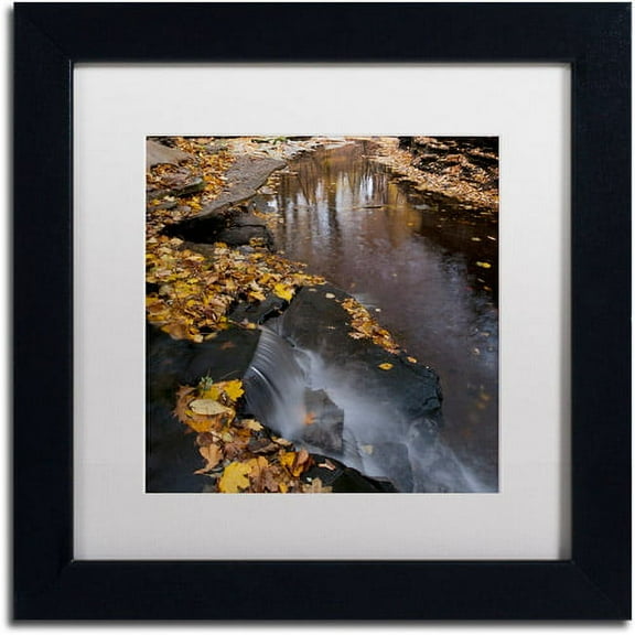 Trademark Fine Art "Lakeview Autumn Waterfall #2" Canvas Art by Kurt Shaffer White Matte, Black Frame