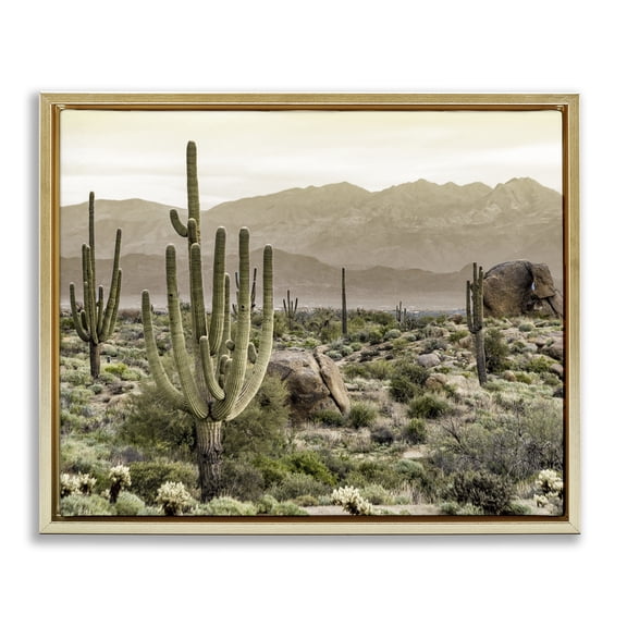 Stupell Industries Rustic Lodge Rocky Desert Landscape Gold Floating Frame Canvas Art, 21 x 17, by Kim Allen