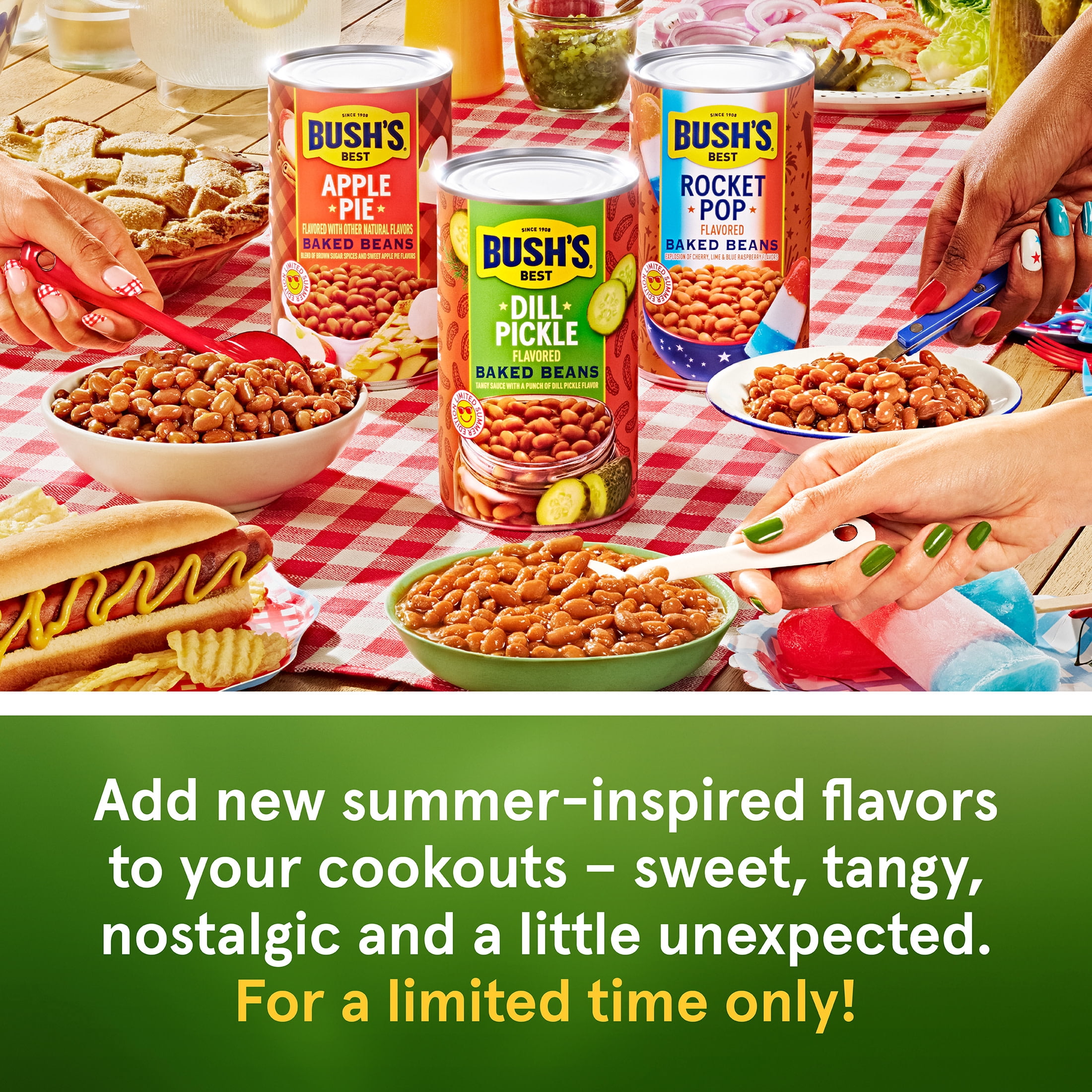 Bush's Dill Pickle Flavored Baked Beans, Limited Summer Edition Canned Beans, 26.9 oz Can