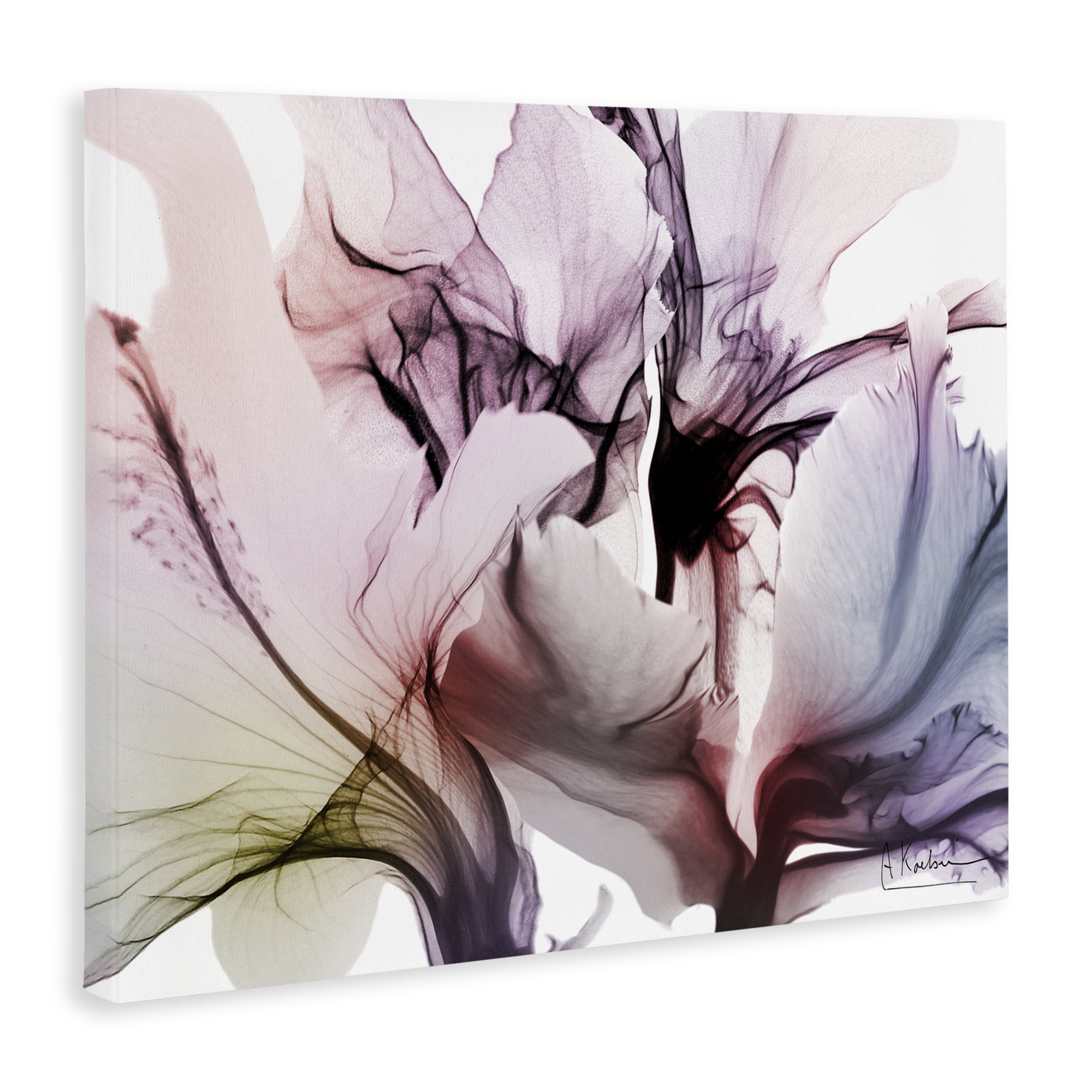Stupell Industries Brilliant Song Flower Petals Canvas Wall Art, design by Albert Koetsier