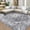 grey, variant on 2*6ft/4*6ft/5*7ft/6*9ft/8*10ft/9*12ft/10*13ft Washable Area Rug Vintage Floor Cover Foldable Thin Living Room Bedroom Non Slip Carpet Non-Shedding & Easy Care Mat for Kitchen Dining Room Home Decor