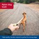 thumbnail image 4 of Leash Coastal K9 Explorer de nailon reflectante, 2,5 cm x 1,8 m, 4 of 7