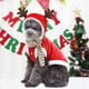 thumbnail image 2 of Abrigo para perro, sudadera con capucha para perro y gato, disfraz navideño para perros pequeños, 2 of 6