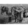 thumbnail image 2 of Calvin Coolidge Adjusting A Horse'S Harness On His Father'S Farm In Plymouth History (36 x 24), 2 of 2