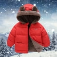 thumbnail image 2 of Ruyang Toddler Boys Fleece Lined Puffer Jacket Cute Bear Hooded Down Coat Baby Girls Winter Padded Warm Quilted Outerwear, 2 of 5