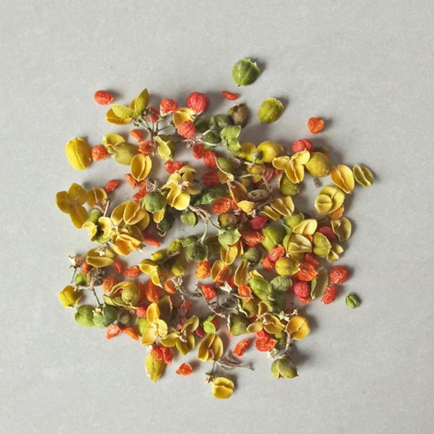 Dried Jasmine Flowers