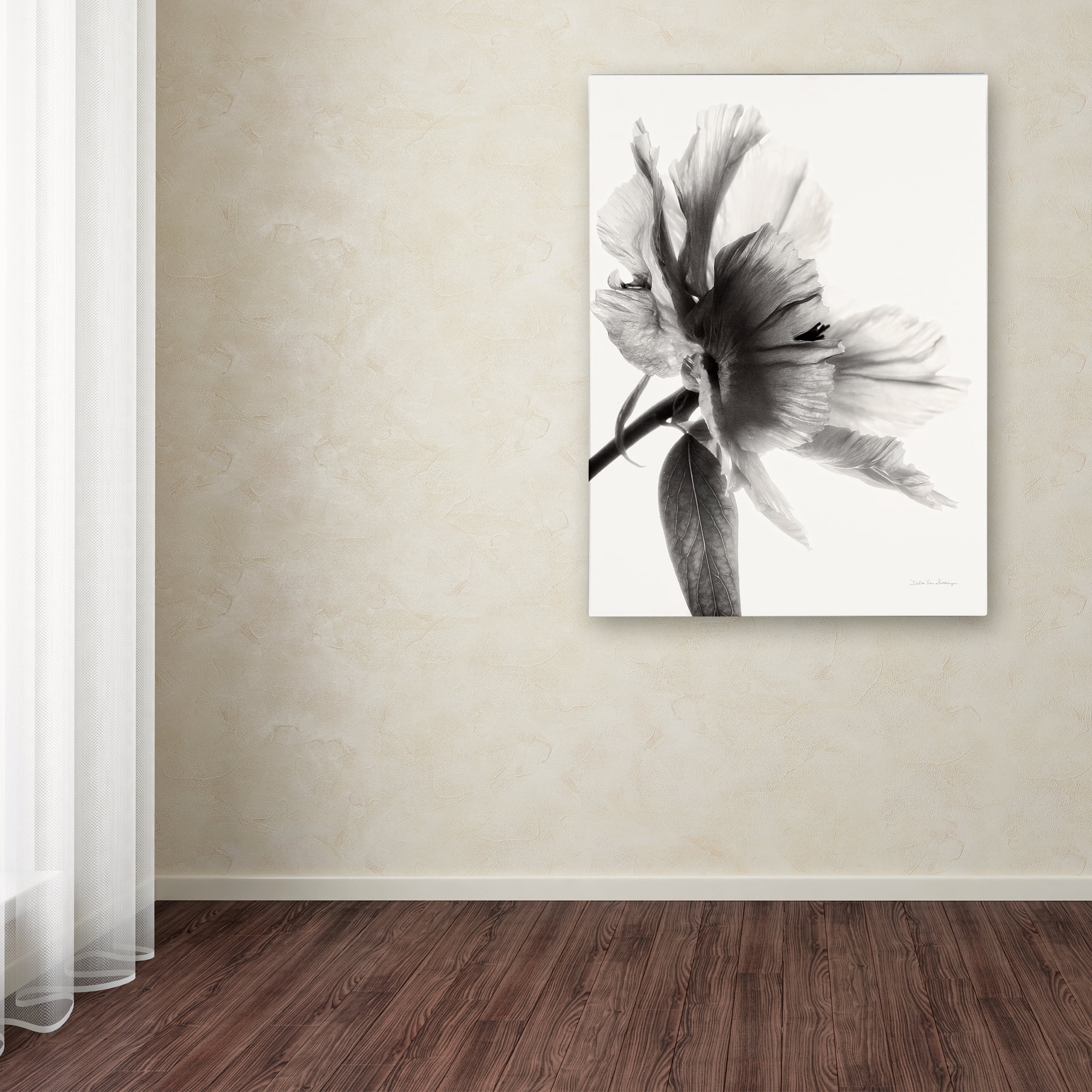 Trademark Fine Art 'Translucent Peony IIBW' Canvas Art by Debra Van Swearingen