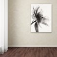 thumbnail image 3 of Trademark Fine Art 'Translucent Peony IIBW' Canvas Art by Debra Van Swearingen, 3 of 3