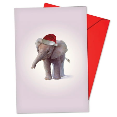 'B6726DXSG Zoo Babies Christmas Cards' Box Set of 12 Humor Merry Christmas Cards with Envelopes by