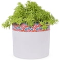thumbnail image 2 of Sanjay Large Indoor Planter, Glossy Finish Metal Planter, Enamel Floral & White Planter for Indoor Plants with 3 Felt Pads Underneath, Modern, Rustproof Home Decorations for Living Room - 10"x10"x9", 2 of 7