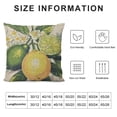 thumbnail image 6 of Acheng Lemon Pillow Cover Summer Decor Farm Decorative Cushion Case for Sofa Couch Vintage Fruit Decorations Throw Pillowcase 2 pcs White, 6 of 6