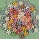 thumbnail image 3 of 40 pequeñas flores de resina para decoración de uñas, dijes de diamantes de imitación mate mezclados, gemas, suministros de manicura, piezas para diseño de uñas, accesorios de decoraciones, 3 of 4