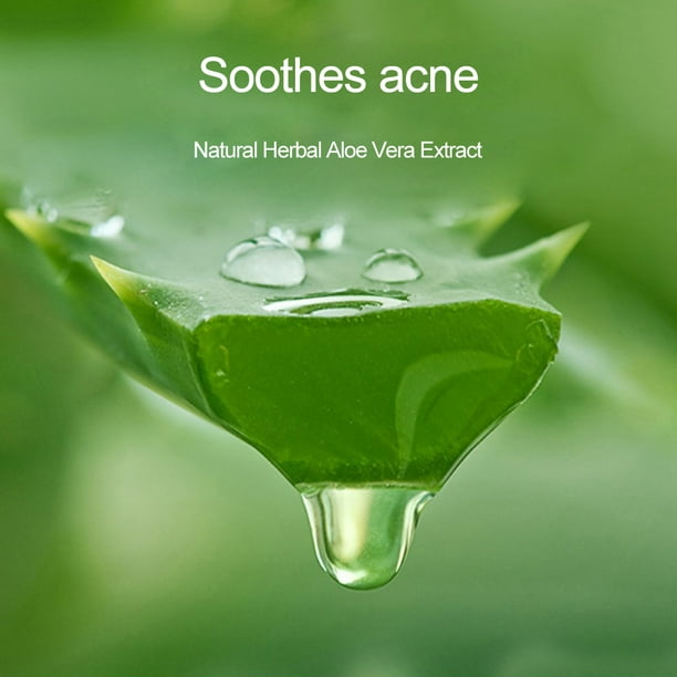 300ml for Acne-Prone Skin, Natural Moisturizer Pure Organic Aloe Vera Gel -  Walmart.ca