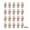 B1, variant on 20 Pcs Seedling Starter Pots with Humidity Domes, Biodegradable Nursery Pots Square Bottom 4 Drain Holes, Soft Peat Pots for Gardening Transplanting Herbs Vegetable Sapling Scene