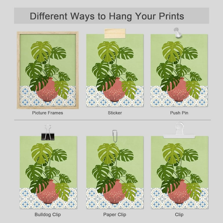 Illustrated Hanging Plant Laptop Stickers Set of 5 Succulent Stickers Laptop  Art 