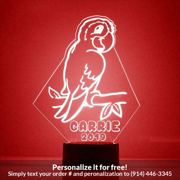 Mirror Magic Store Parrot Color Changing Personalized LED Light with Remote Control