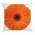 thumbnail image 1 of Orange Throw Pillow Cushion Cover, Flower of Gerbera Vivid Petals Close Up Image Fresh Garden Botany Spring, Decorative Square Accent Pillow Case, 24 X 24 Inches, Orange Red Burgundy, by Ambesonne, 1 of 1