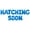 Blue, variant on Letter Balloons - HATCHING SOON 16" Inch Alphabet Letters Foil Mylar Balloon Baby Shower Party Banner (Gold)