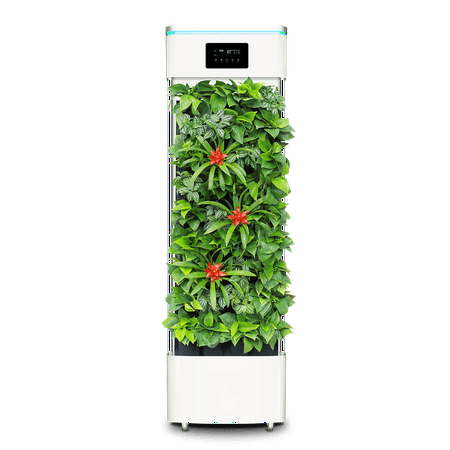 LAMINATED POSTER Air Purifier Plant Smart Plant Purifier Poster Print 24 x (Best Plants To Purify The Air In Your Home)