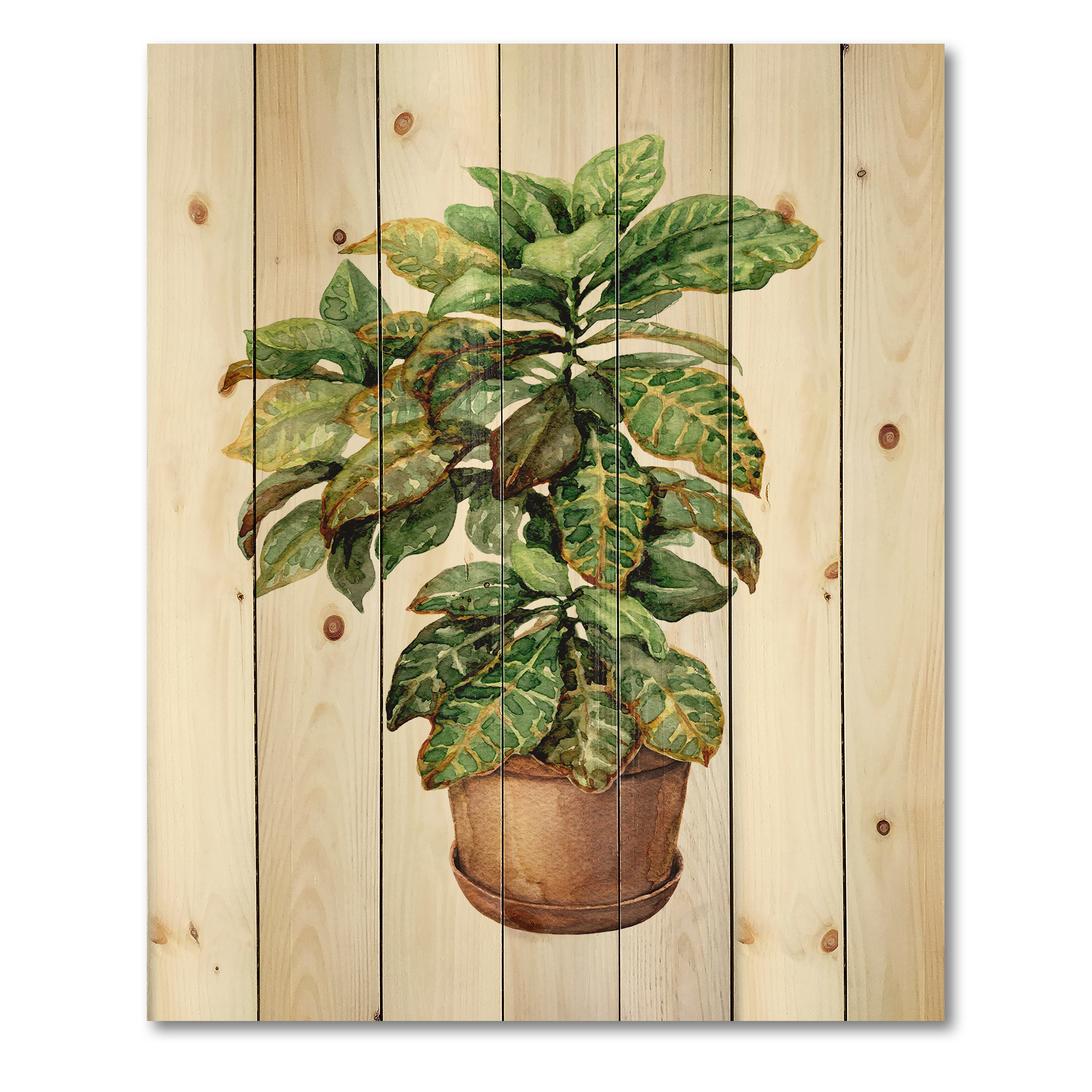 Designart 'Green Croton In Clay Flowerpot' Traditional Print on Natural Pine Wood