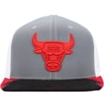 thumbnail image 2 of Men's Mitchell & Ness Gray/White Chicago Bulls Day 5 Snapback Hat, 2 of 5
