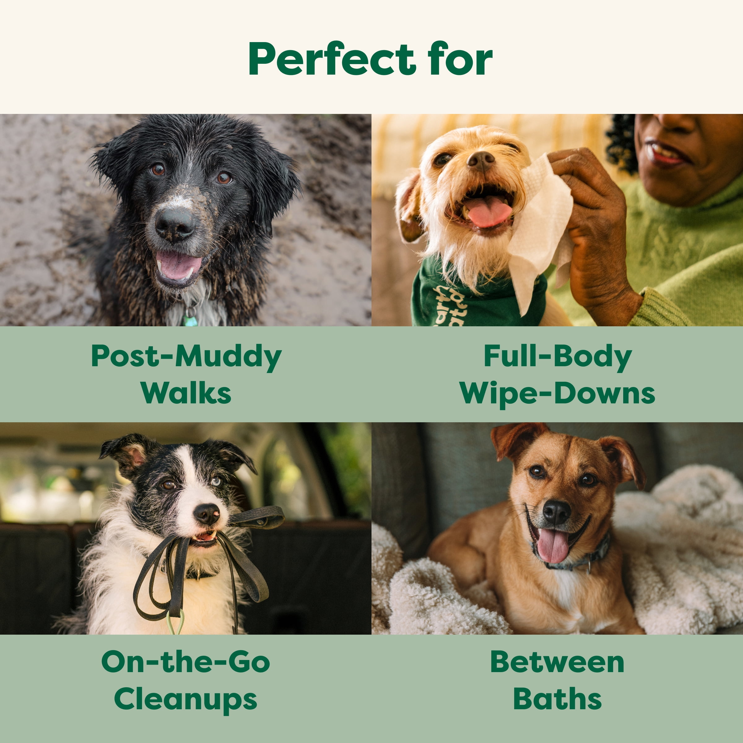 Earth Rated 2-in-1 Everyday Dog Wipes, Unscented, 100 Count