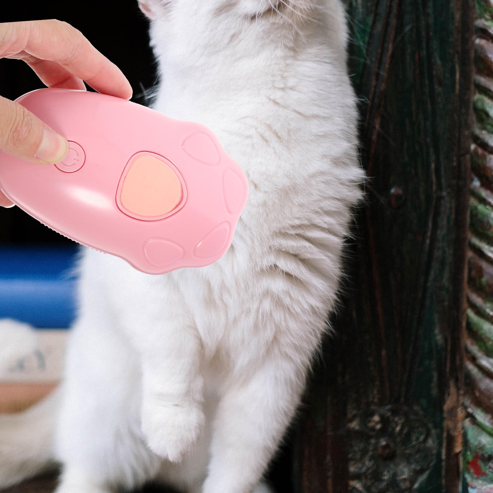 ETHZZLE Electric Cat Steam Brush in for Gentle Pet Bathing, and Relaxing Massage - 1 Set
