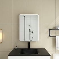 Bathroom Medicine Cabinet with Mirror,Wall or Recessed Mount,1-Door,2-Adjustable Shelves,Silver Iron