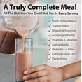 Complete Meal Replacement Shake Plant Based Protein Powder with