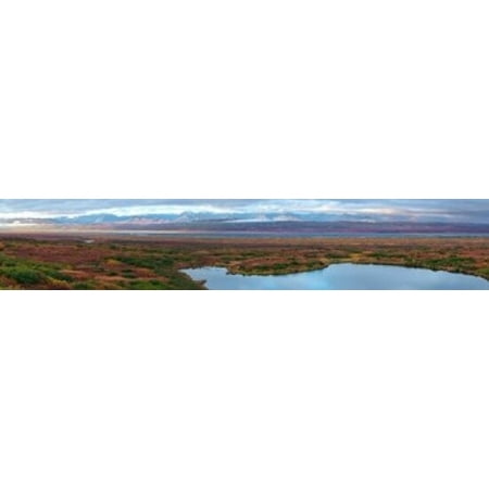 Tundra landscape Denali National Park Alaska USA Poster Print