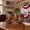 A, variant on USA 250th Anniversary Wooden Desktop Decor, 2D Freestanding Patriotic Ornament for Home Desk Office Shelf, Independence Day Commemorative Keepsake, 1776-2026 Semiquincentennial Decor