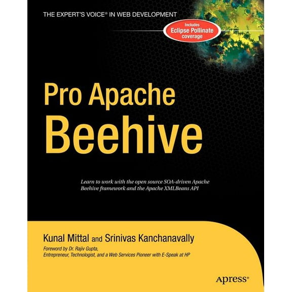 Expert's Voice in Java Pro Apache Beehive, (Hardcover)