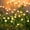 Warm White, variant on Solar Garden Lights Outdoor, Firefly Swaying Lights, Waterproof Garden Decor for Yard Patio Pathway Lawn, Gardening Gifts for Women Christmas Decoration