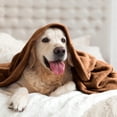 thumbnail image 4 of IR Imperial Rooms Fleece Bed Throw Blanket, Plush, Travel and Couch Fuzzy, Cozy Washable Ultrasoft Throw Size Coffee, 4 of 14